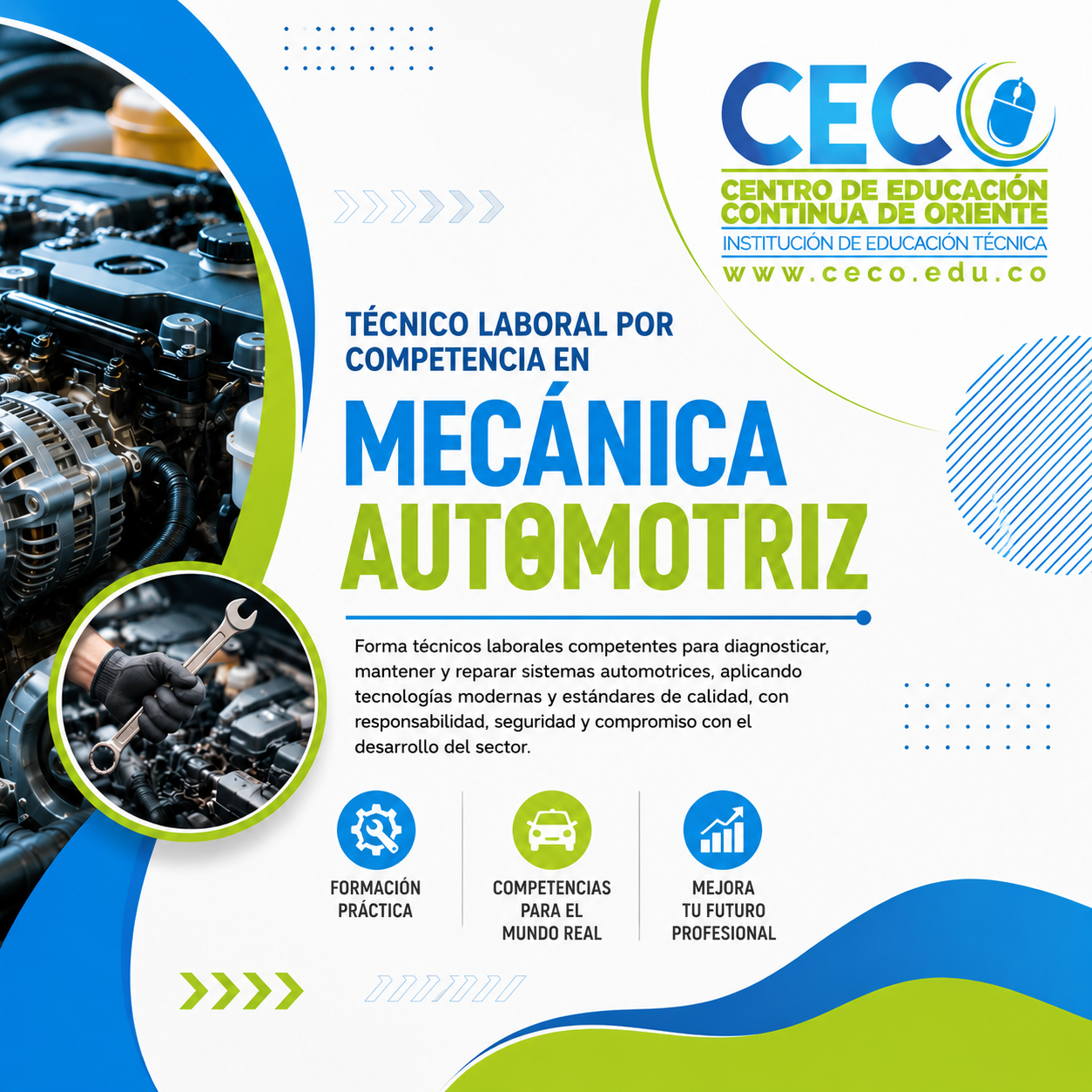 más información 3926688-3104411278